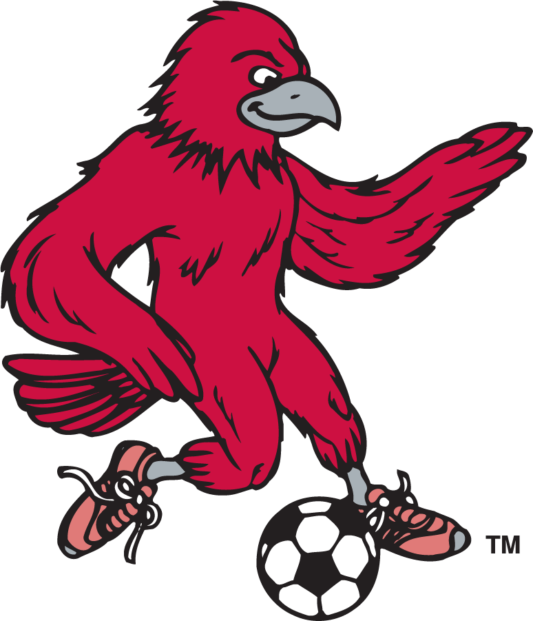 St. Joseph's Hawks 1995-2002 Secondary Logo t shirts iron on transfers